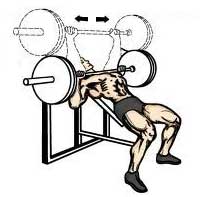 press-de-banca-para-desarrollar-pectorales