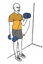 Desarrollar bíceps grandes. Curl apoyado en la pared