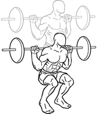 Las sentadillas son un ejercicio compuesto para desarrollar músculos más rápido