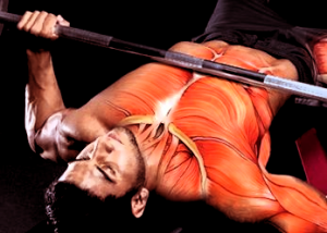 Cómo desarrollar los pectorales en el menor tiempo