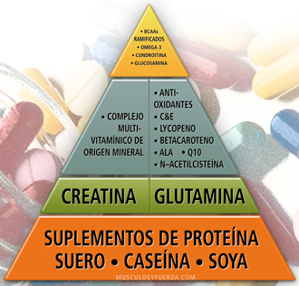 Pirámide de Suplementos para Ganar Masa Muscular Suplementos en la Dieta para Aumentar Masa Muscular