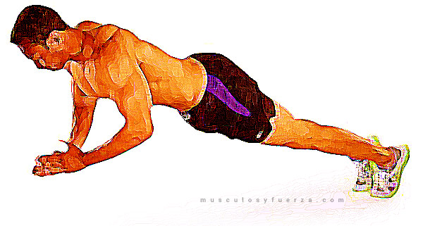 Tipos de Flexiones. Lagartijas Aplaudiendo