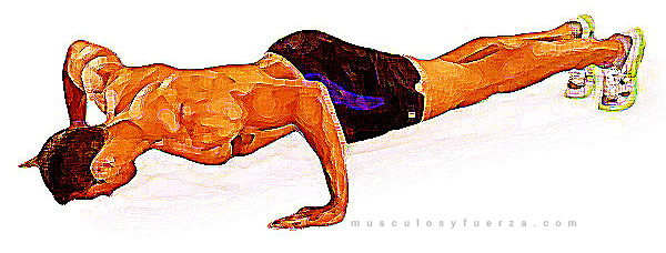 Tipos de Flexiones. Plancha con Manos Separadas
