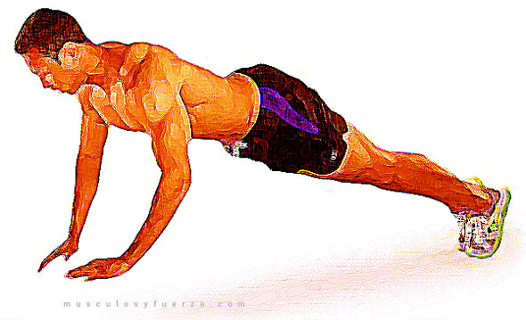 Tipos de Flexiones. Lagartijas con Salto