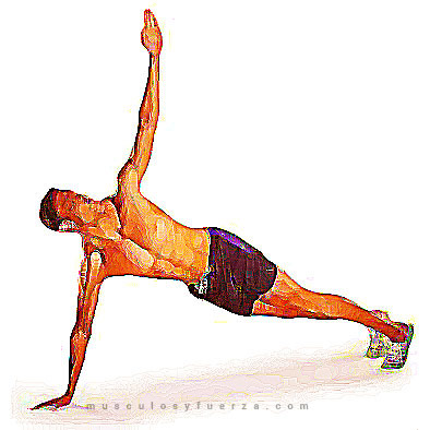 Tipos de Flexiones. Plancha en T